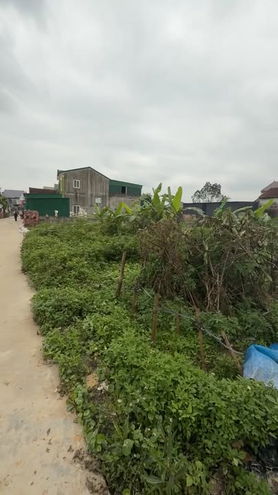 Đất nền Nam Đàn 195m² giáp QL46 lô góc sổ đỏ chính chủ