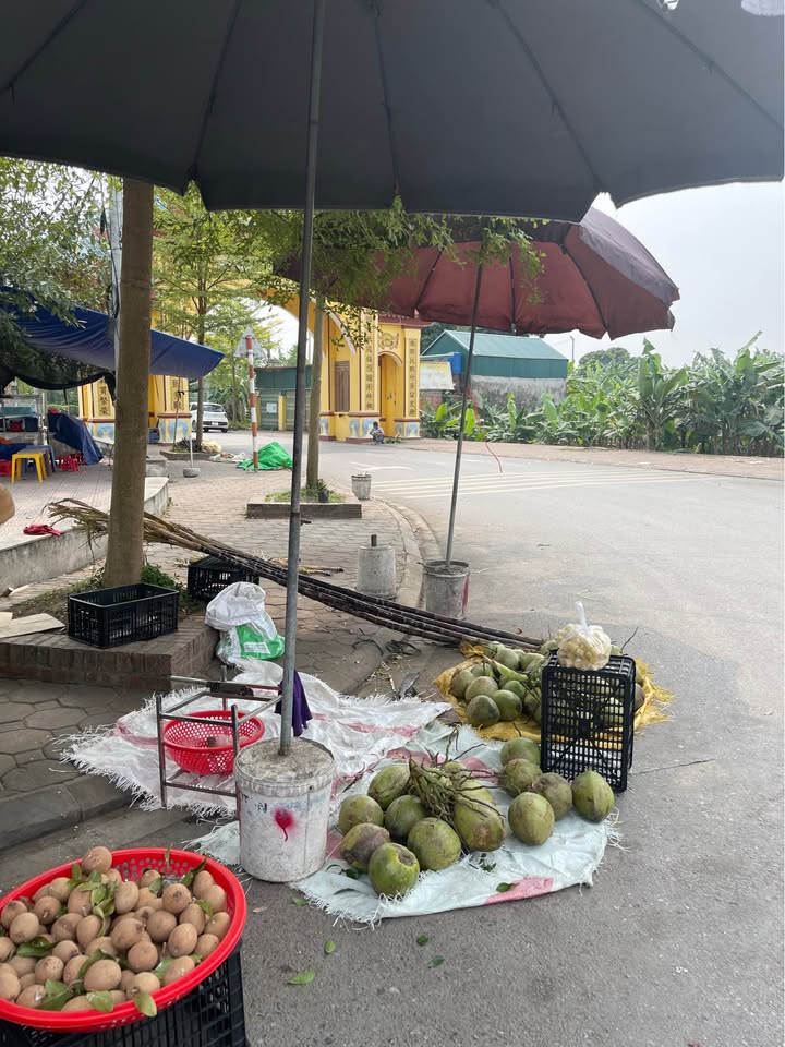 Đất nền Ngô Xuân Quảng Gia Lâm 33m² 6 tỷ - Sổ đỏ chính chủ