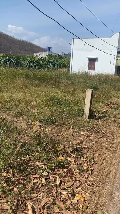 Đất nền Hàm Cường Bình Thuận 279m² 400 triệu - Sổ hồng chính chủ