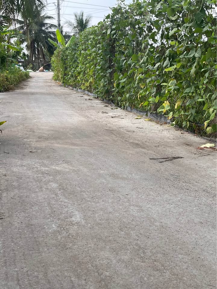 Đất nền Đăng Hưng Phước 156m² 300 triệu - Sổ đỏ chính chủ