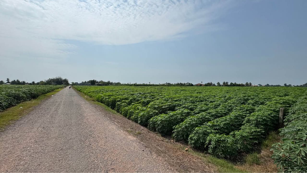 Bán Đất Mặt Tiền 5280m² Đường Nhựa LGHQ, Dương Minh Châu - Giá 2.879 Tỷ