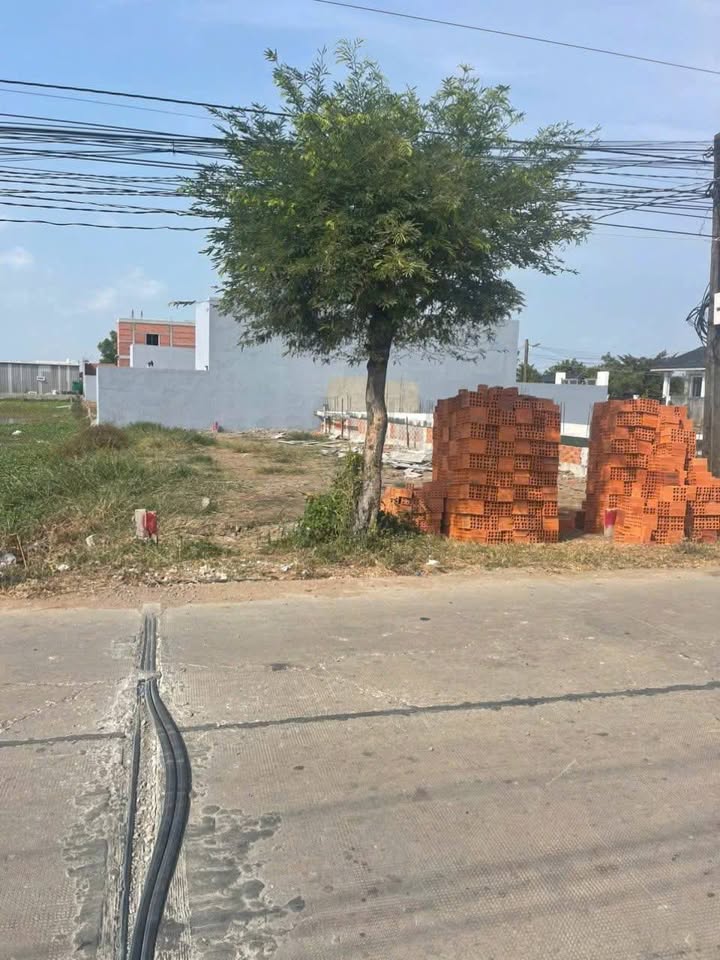 Đất Mặt Tiền Trần Đại Nghĩa, Long An - 125m² Giá 1.5 Tỷ, Sổ Đỏ Sẵn Sàng