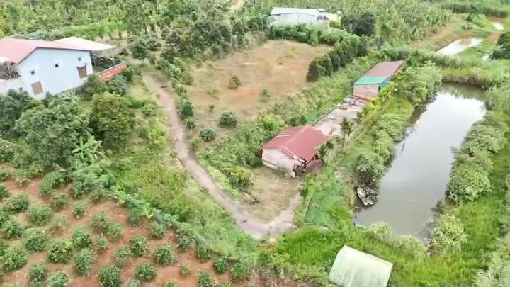 Nhà Mái Thái Đắk Nông 2520m² - Mặt Tiền Đường Nhựa 2.65 Tỷ