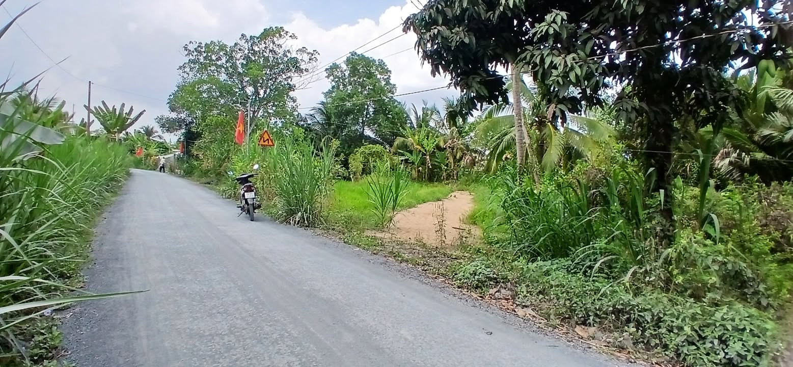 Đất nền Ngãi Tứ Tam Bình 145m² 300 triệu - Pháp lý rõ ràng