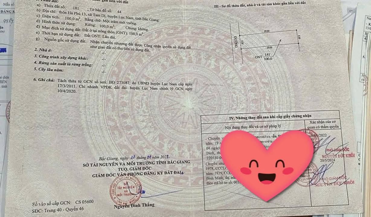 Đất Đồi Ngô Lục Nam 100m² - Đường 2 Ô Tô, Sẵn Sổ Hồng