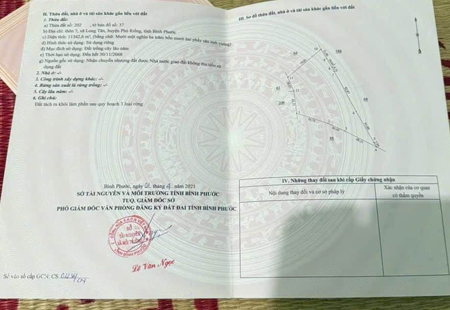 Đất vườn Thuận Phú Đồng Phú 10ha 25 tỷ - Đầu tư dài hạn