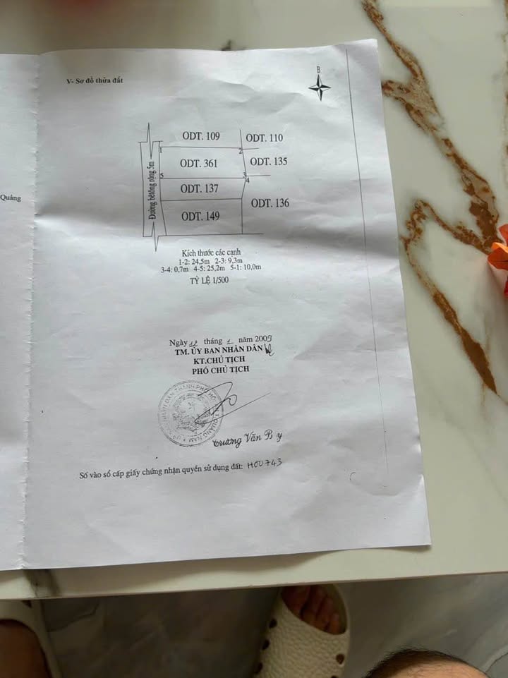 Đất nền Phố Cổ Hội An 250m² - Sổ đỏ sẵn sàng giao dịch