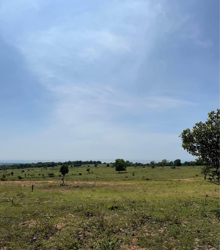 Bán Gấp 720m² Đất Biển Phong Phú, Bình Thuận - Sổ Sẵn, Chính Chủ