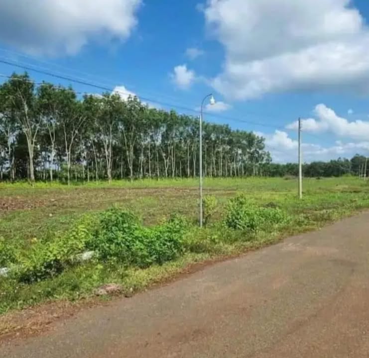 Đất Nền KCN Becamex Bình Phước - 150m² Thổ Cư 375 Triệu - Sổ Đỏ Sẵn Sàng