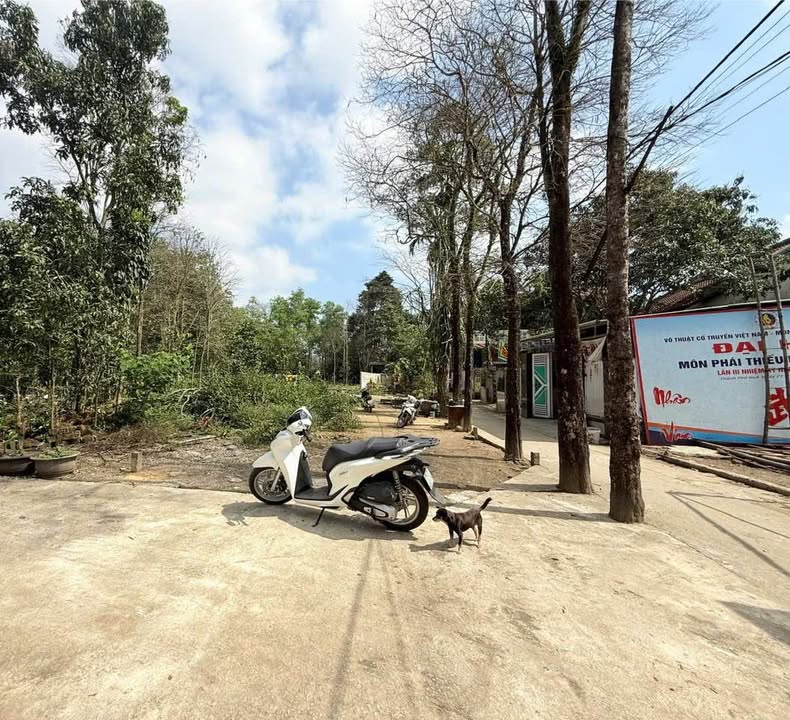 Đất nền Kiệt 9 Nam Giao Huế 100m² 1,4xx tỷ - Sổ đỏ chính chủ