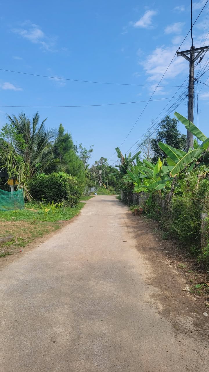 Bán Gấp 2 Lô Đất Vàng Kim Long, Huế 111m² - Hướng Đông Nam Mát Mẻ