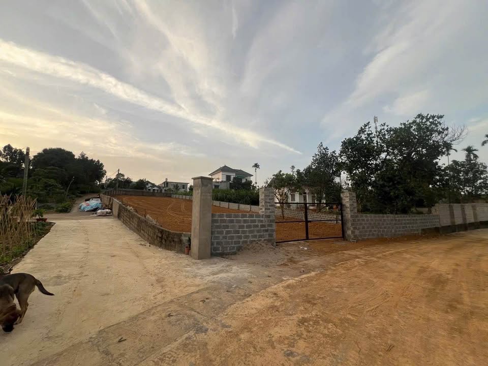 Đất nền Ba Vì 900m² - View cánh đồng thoáng đãng, giá nhỉnh 5 tỷ