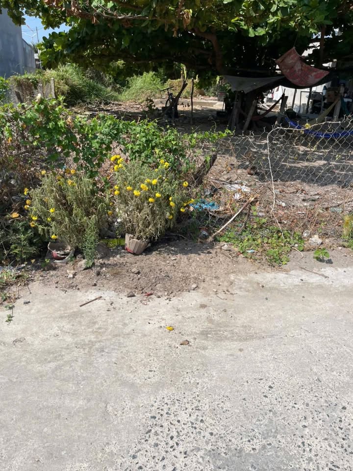 Đất thổ cư Liên Hương 165m² 500 triệu - Sổ đỏ chính chủ