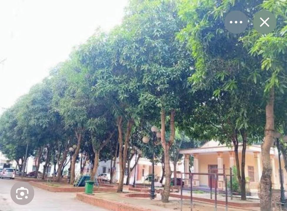 Bán Căn Hộ Nam Sỹ Sách, Dầu Tiếng 48m² - Giá Tốt, Sẵn Sàng Dọn Vào Ở