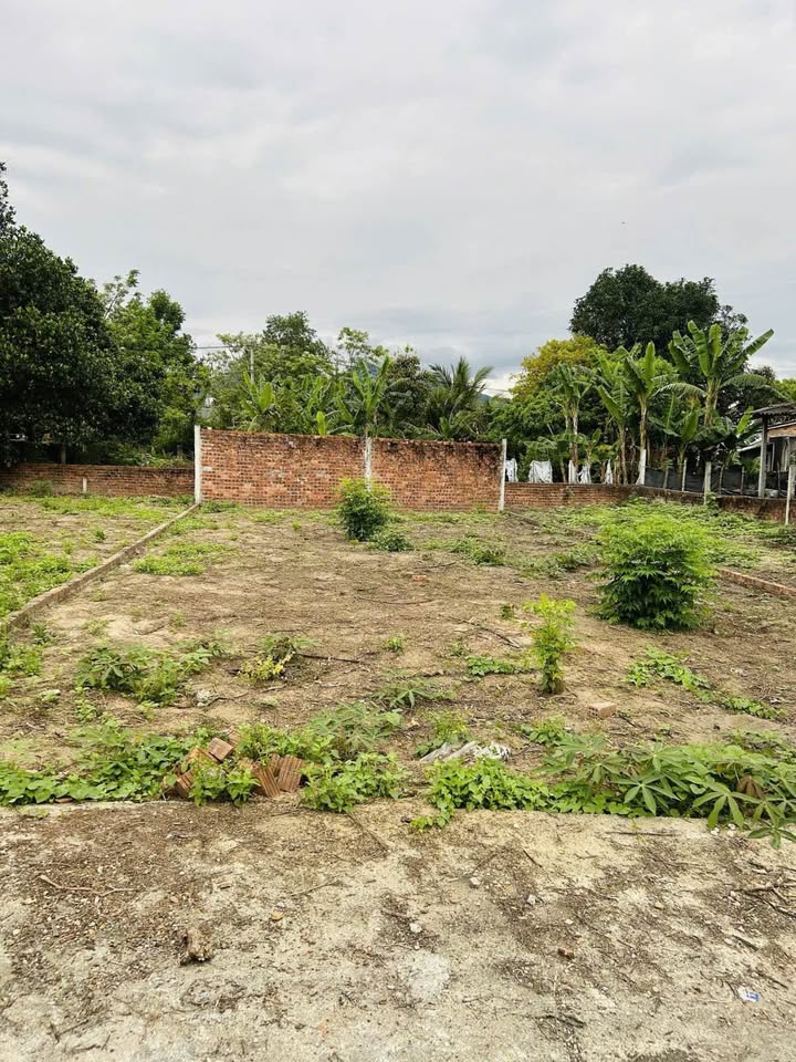 Đất nền Hòa Khương Hòa Vang 176m² 950 triệu - Đường to ô tô