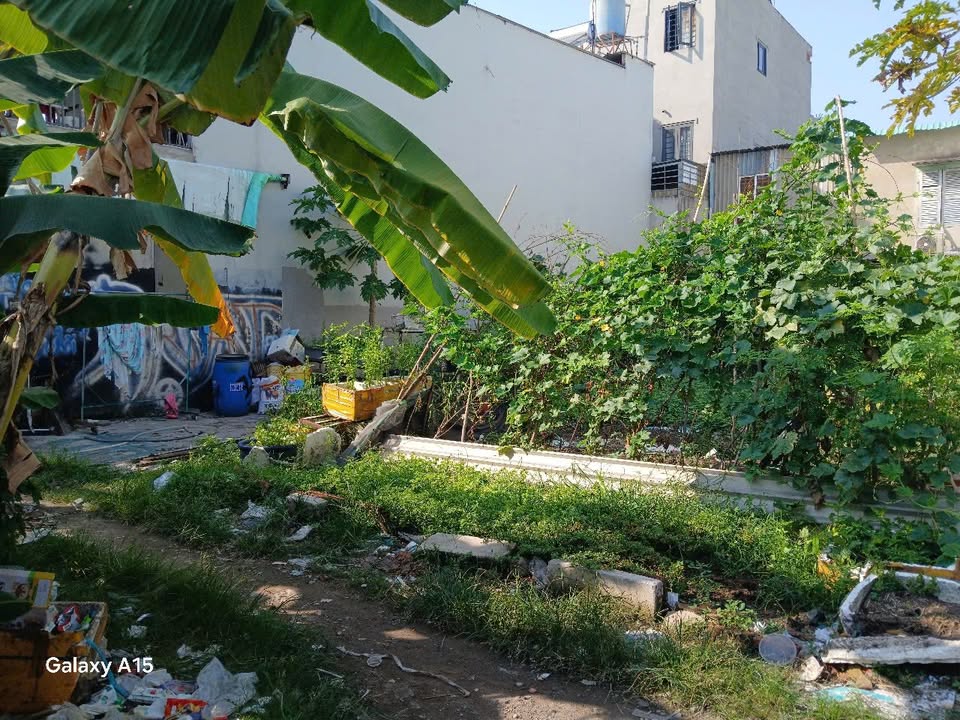 Đất Nền Thạnh Xuân Q12 - 158m² Ngang 10m - Sổ Hồng Riêng - Giá 6.5 Tỷ