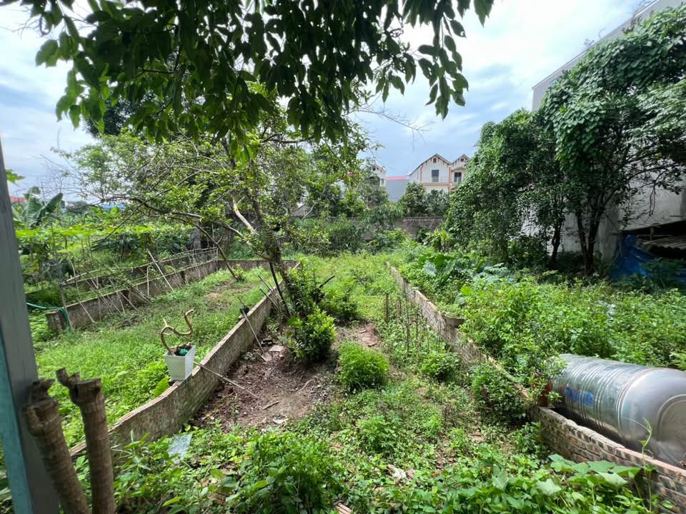 Đất nền Gia Lâm 60m² - Dương Đức Hiền, Kim Sơn - Giá đầu tư 3.2 tỷ