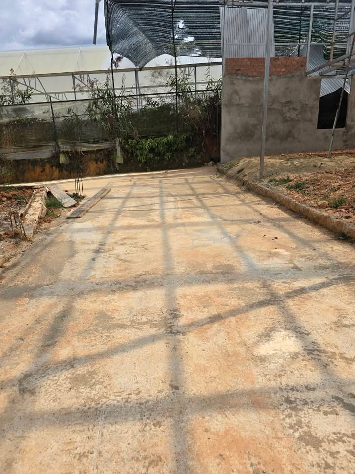 Đất nền Đường Phước Thành P7 Đà Lạt 70m² 400-800 triệu - Đường ô tô