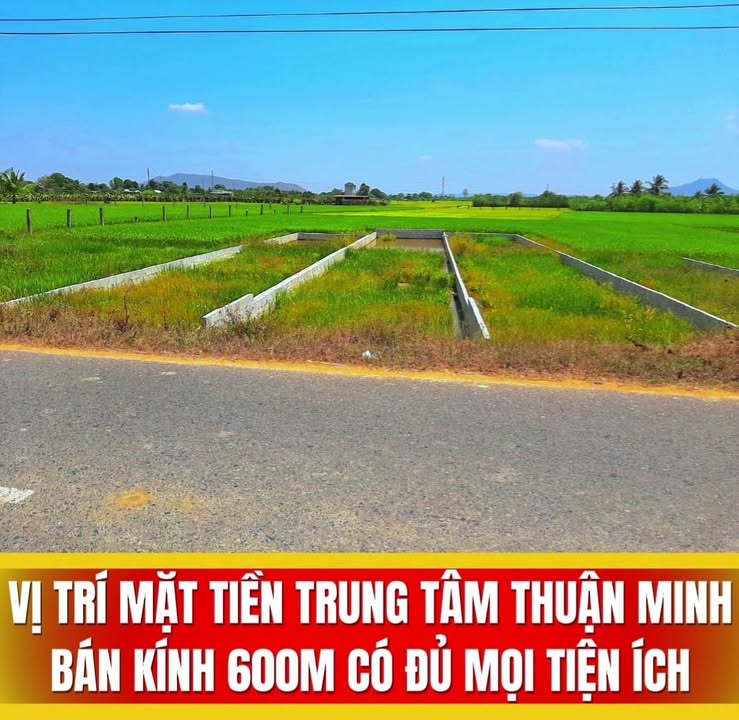 Đất nền Hàm Thuận Bắc 142m² - Sổ hồng thổ cư, giá chỉ từ 490 triệu