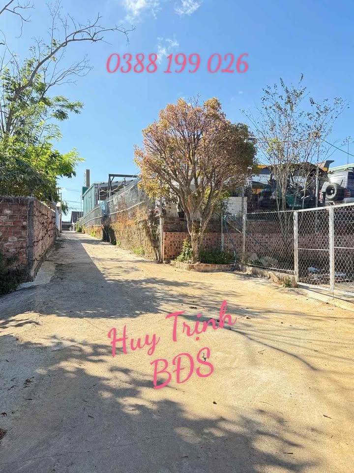 Đất nền Đức Trọng 245m² - Mặt tiền đường ô tô, sổ hồng riêng