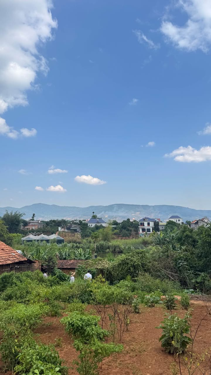 Đất nền Nam Ban Lâm Hà - 2945m² mặt tiền 33m, Sổ hồng riêng, Giá tốt