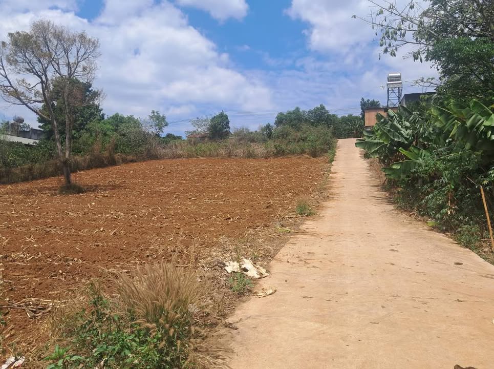 Bán Đất Nền 700m² Mặt Tiền ĐT 700, Lâm Hà, Lâm Đồng - Sổ Sẵn CC