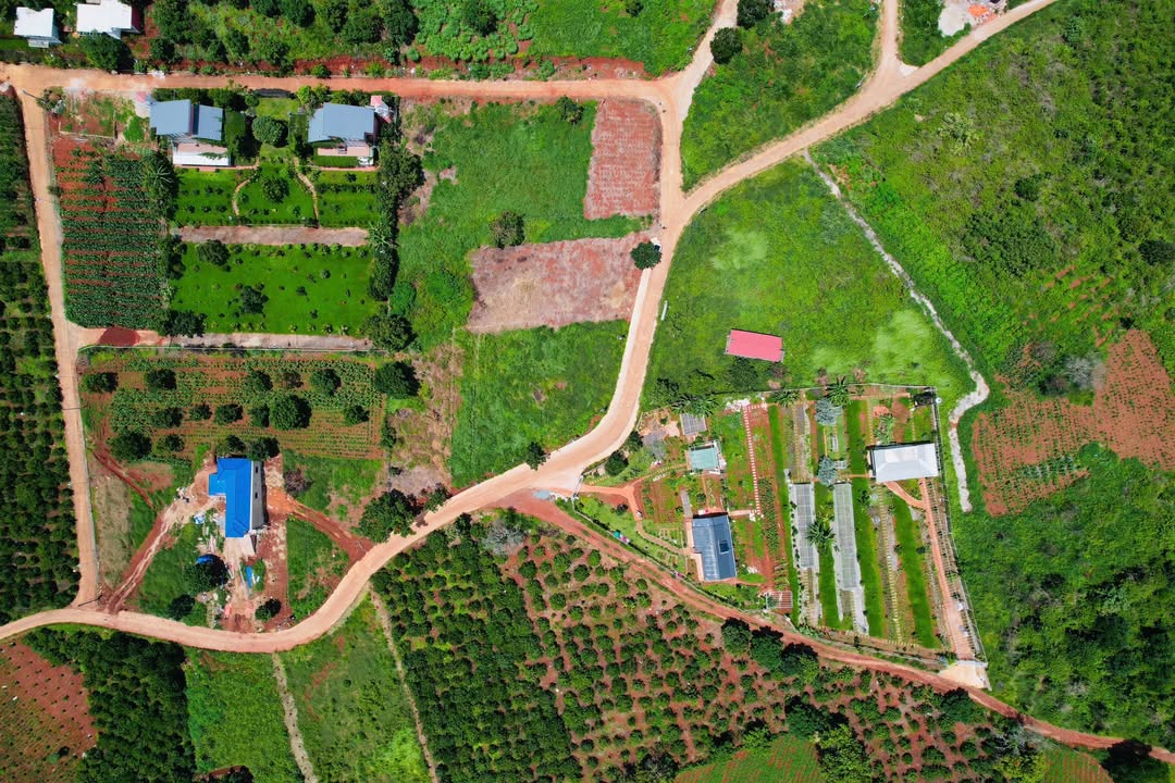 Đất nền view rừng thông Mê Linh, Đà Lạt - 120m² thổ cư, giá 750 triệu