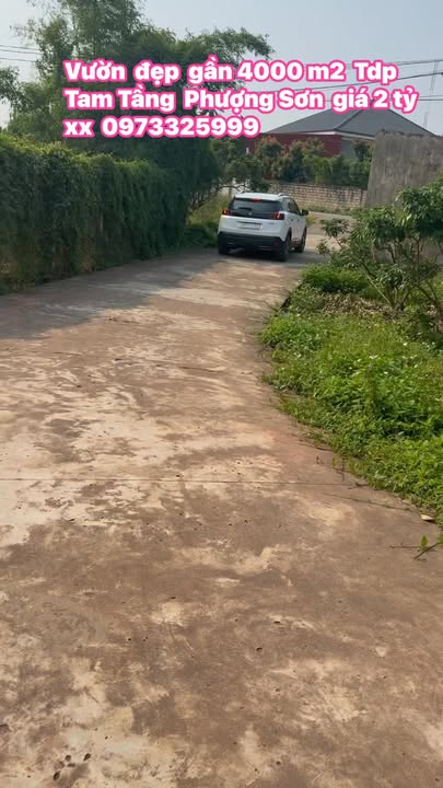 Đất vườn Phượng Sơn 3.908m² trên 2 tỷ - Sổ đỏ chính chủ