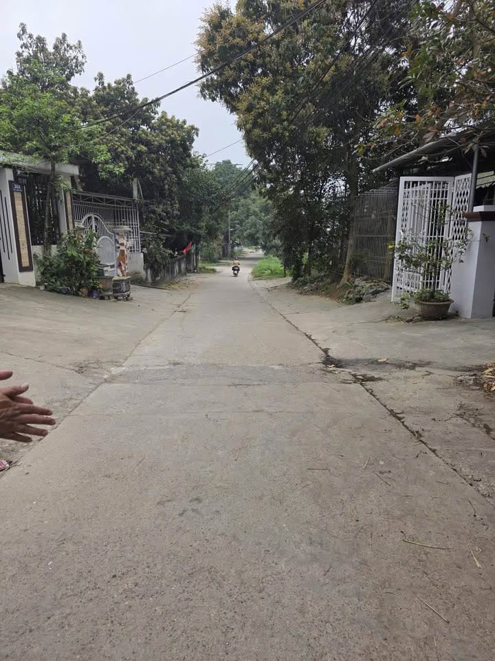 Đất nền tặng nhà cấp 4 Xã Kim Phú 100m² giá 2 tỷ - Đất thổ cư 100%