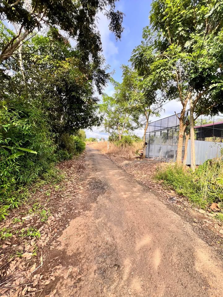 Đất Vườn 506m² P. Thành Nhất - Sổ Riêng Sẵn Sàng