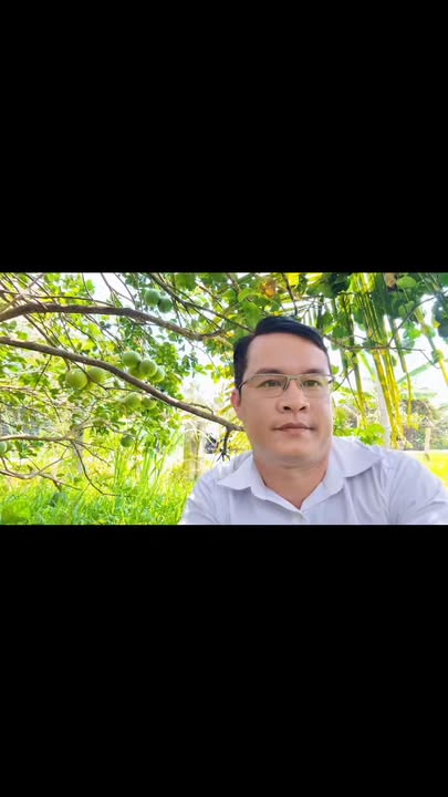 Đất Vườn Tiền Giang 550m² - Sổ Hồng Riêng, Giá Chỉ 739 Triệu