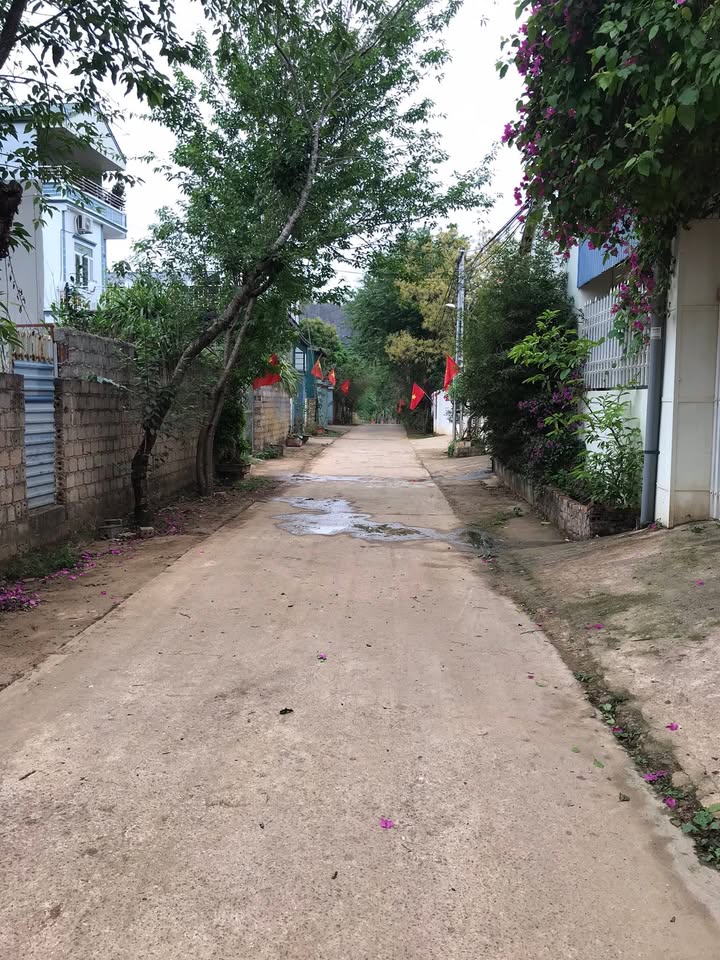 Đất nền Mộc Sơn Mộc Châu 227m² 4 tỷ - Sổ đỏ chính chủ