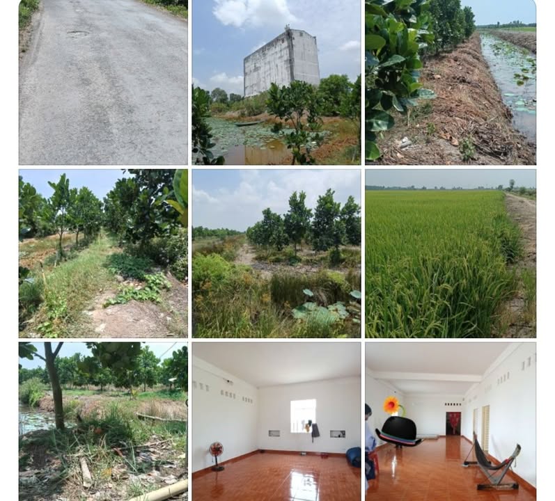 Farm Tân Hòa Tây 5.6ha 13.75 tỷ - Sổ đỏ chính chủ sẵn bán