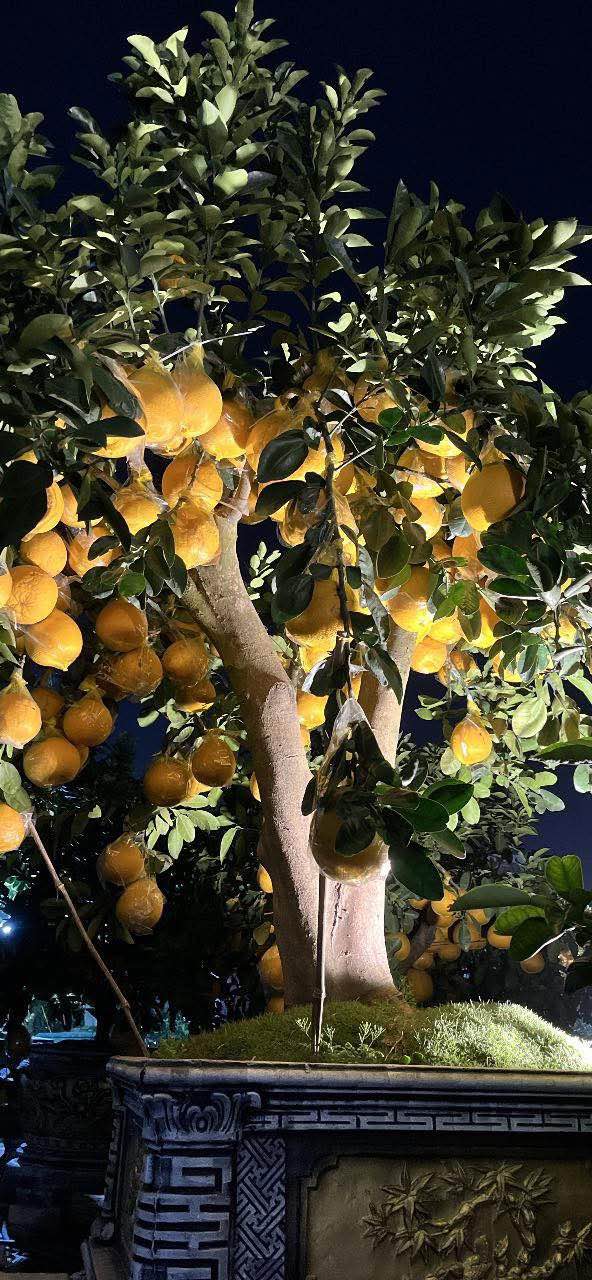 Bán Đất Mặt Tiền Hoàng Văn Thái, An Phú, Hải Dương - 75m² - 3.x Tỷ