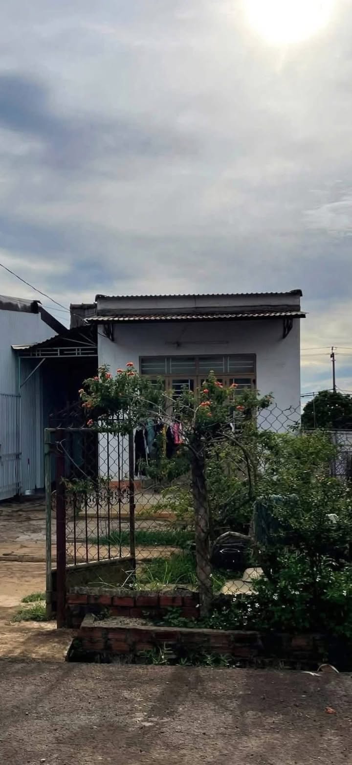 Bán Đất Tân Uyên 156m² Mặt Tiền Đường Hải Thượng Lãng Ông - Sổ Hồng Sẵn Sàng