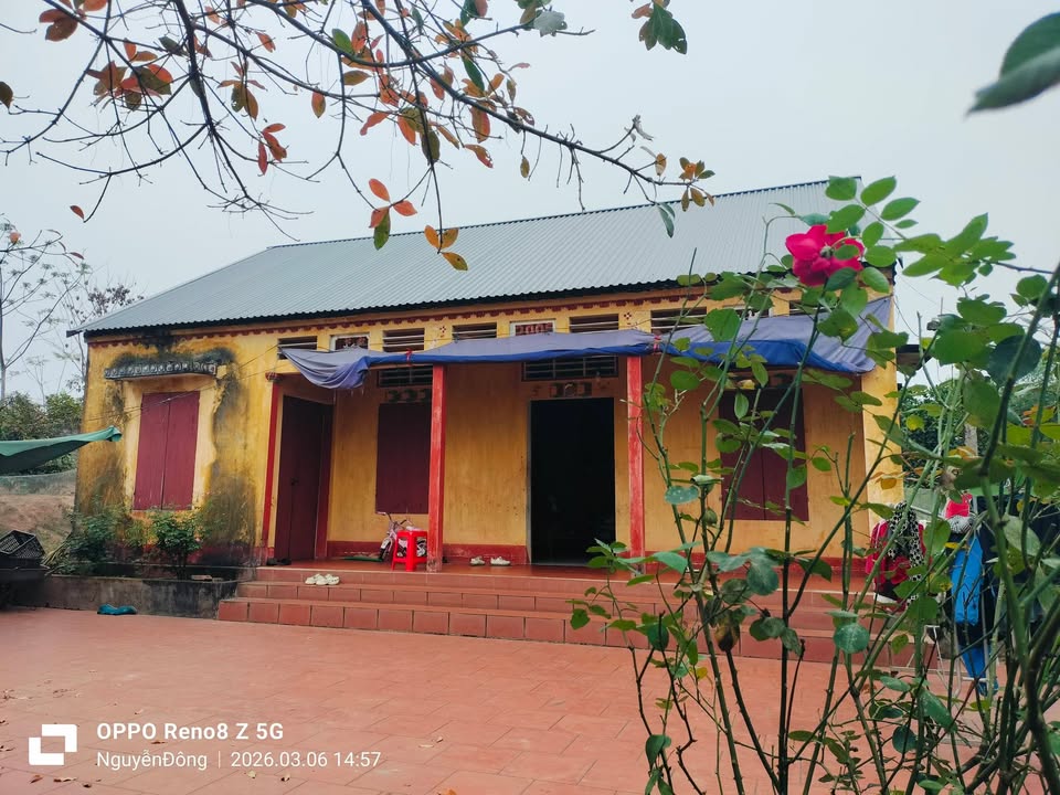 Đất Vườn 1500m² Sổ Đỏ Chính Chủ - Tân Yên, Bắc Giang - Giá Tốt