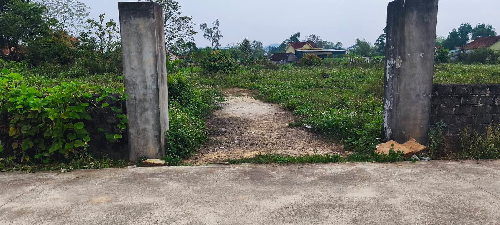 Đất nền Nghĩa Hội Nghĩa Đàn 200m² – Sổ đỏ chính chủ