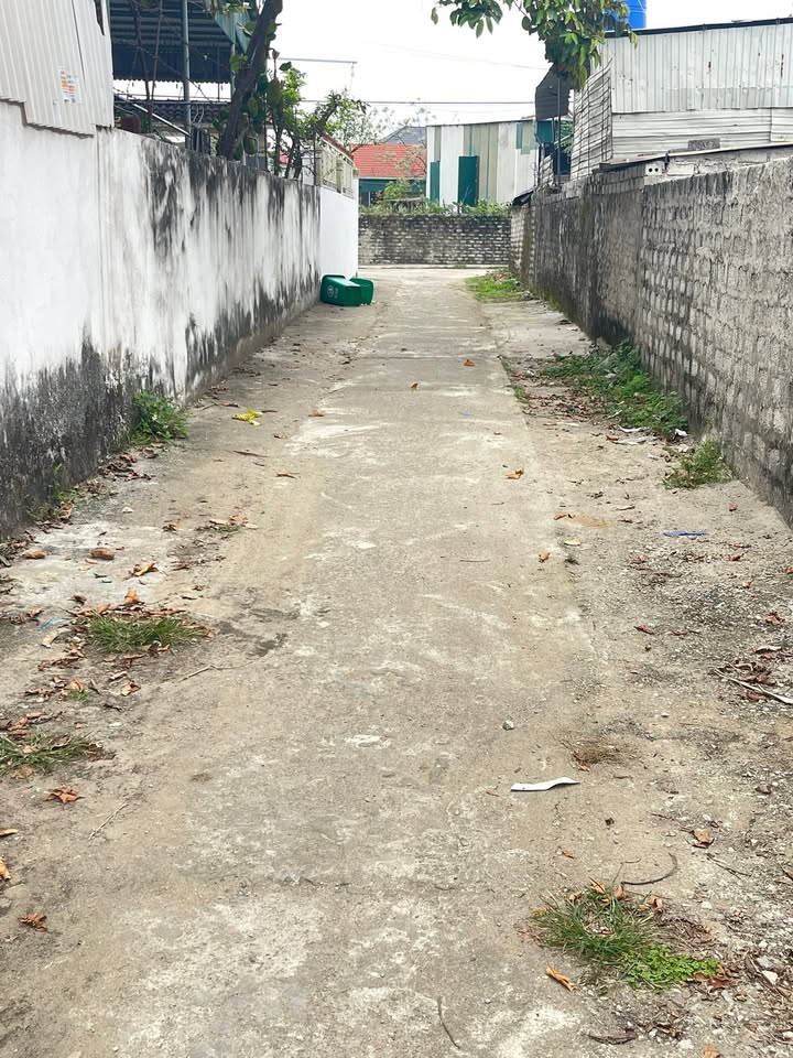 Đất nền Diễn Kim Diễn Châu 150m² 1 tỷ - Đường to ô tô