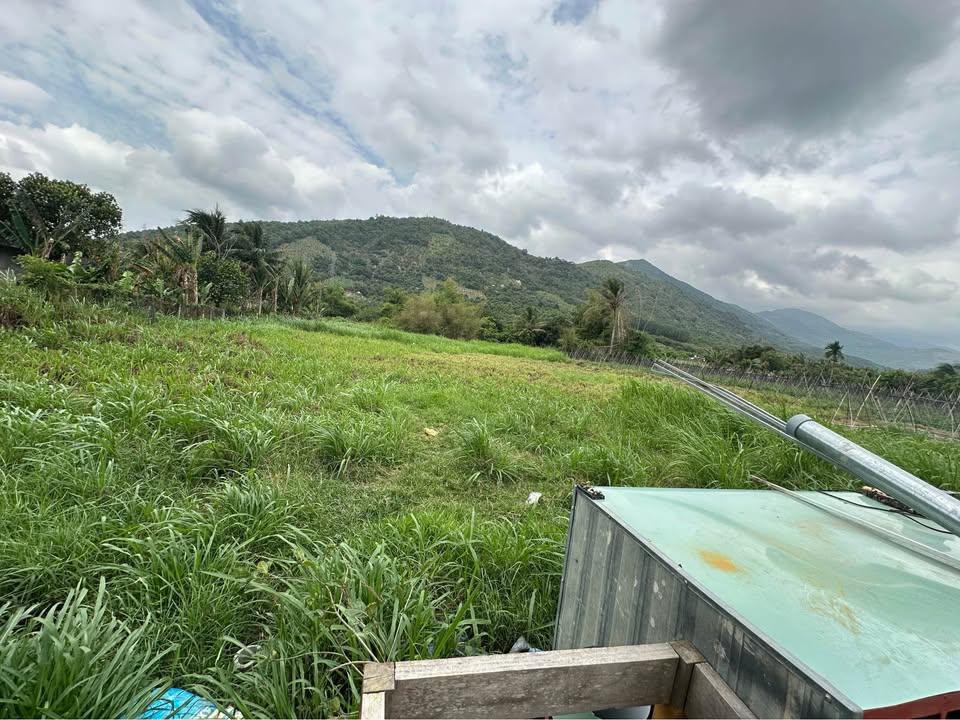 Bán Đất Vườn Đắc Lộc Nha Trang 1588m² - Sổ Đỏ Chính Chủ, Giá 3.17 Tỷ