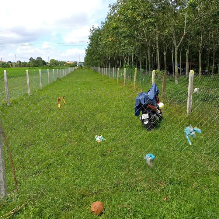 Bán Đất Vườn 812m² Trảng Bàng - Sổ Đỏ Riêng, Giá 1.35 Tỷ