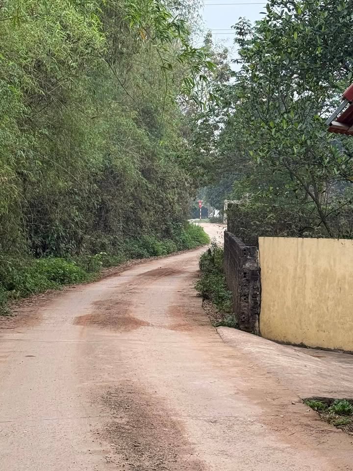 Đất Kim Long Tam Dương 149m² giá 8xx - Sổ đỏ chính chủ