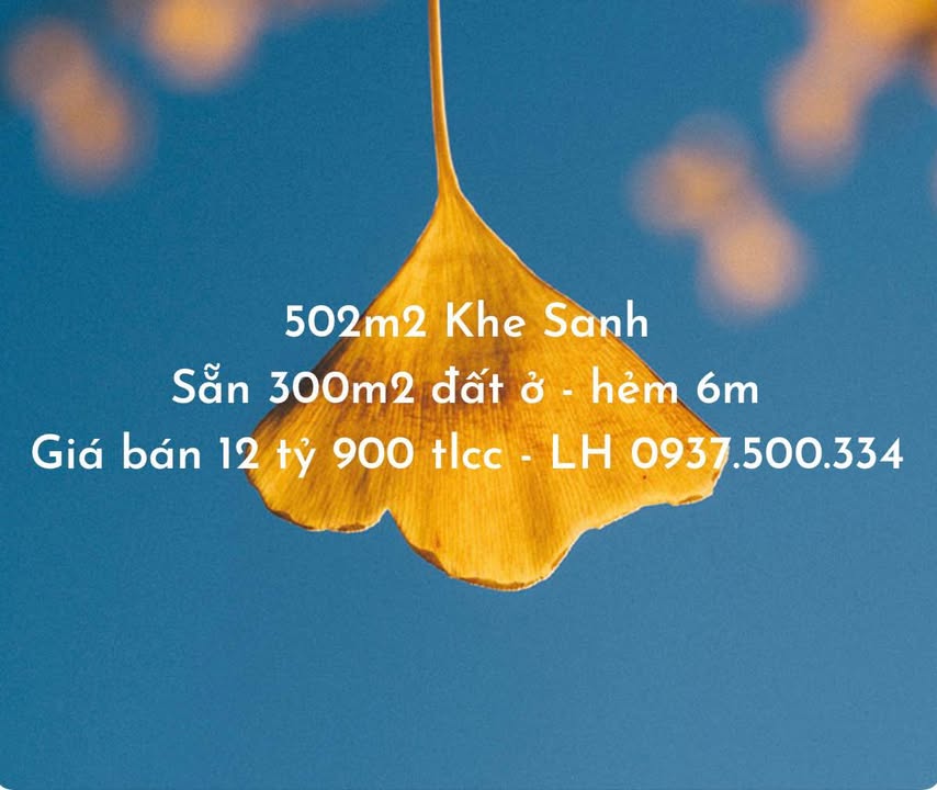 Đất Đà Lạt 502m² - Sổ Riêng Xây Dựng - Vị Trí Nghỉ Dưỡng