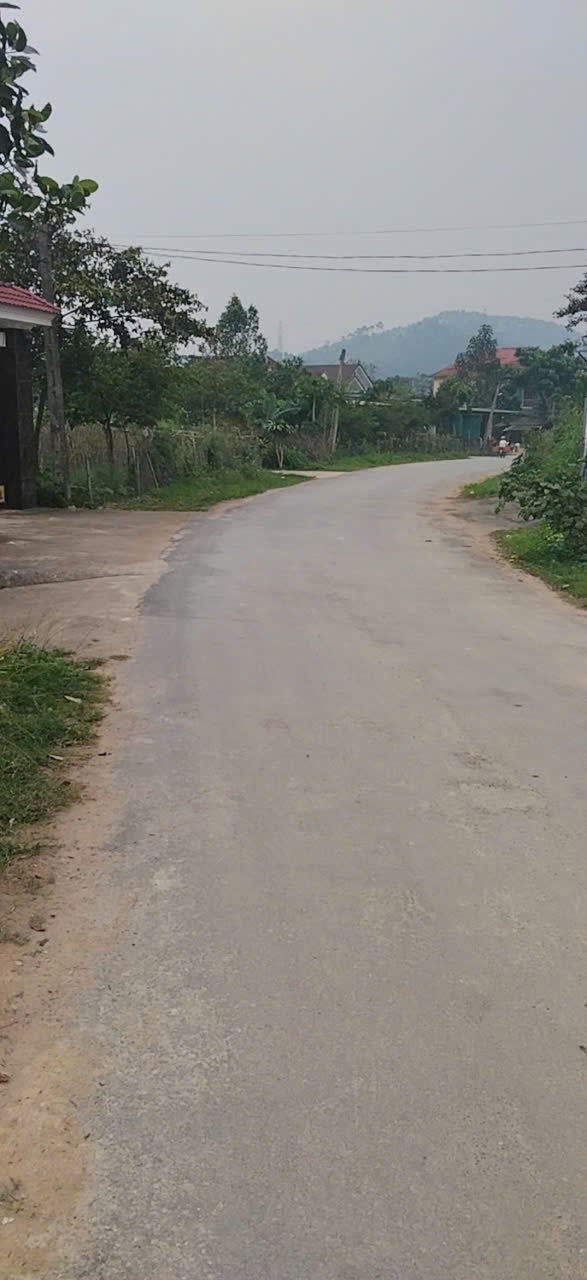 Đất nền Nam Đàn QL15cu 214m² 1.5 tỷ - Sổ đỏ chính chủ