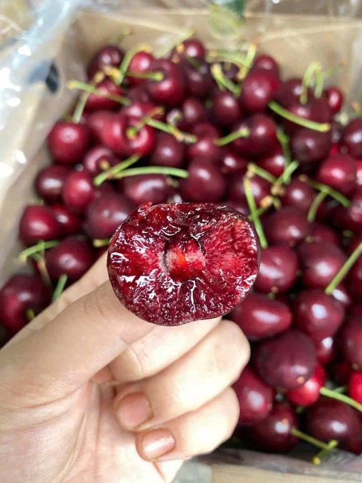 Đất mặt tiền Lê Thanh Nghị Quy Nhơn 100m² - Đường ô tô