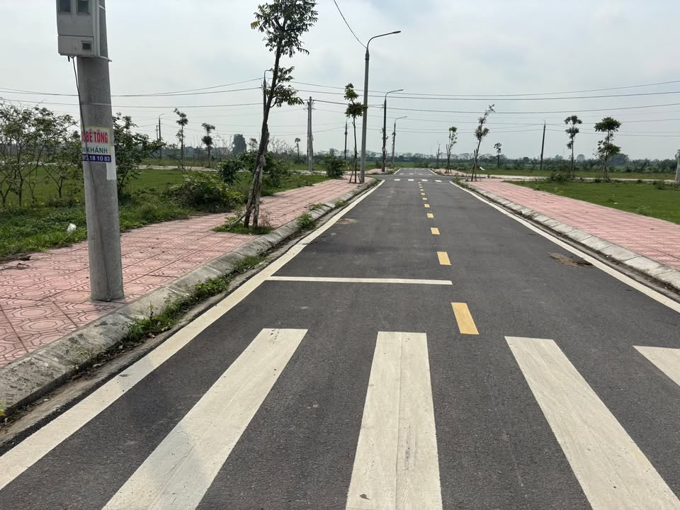 Đất Yên Từ 137m² giá thỏa thuận - Đầu tư dài hạn