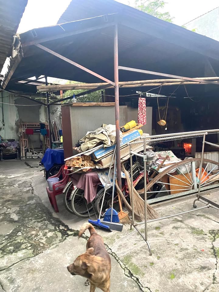 Đất Vàng Tăng Nhơn Phú B, Thủ Đức 150m² - Thổ Cư, Ngang Lớn 14.6m