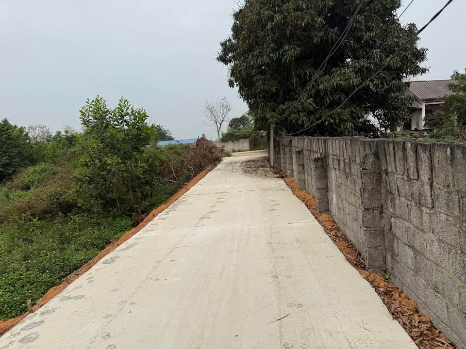 Đất nền Vĩnh Phúc 1000m² - Mặt tiền rộng, dân cư đông đúc, giá hơn 4 tỷ