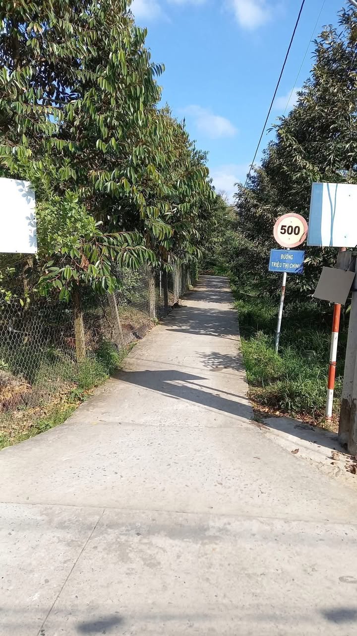 Đất Vườn Thổ Cư Phú Phong, Tiền Giang - 666m² Sổ Hồng Riêng, Giá Đầu Tư 570 Triệu