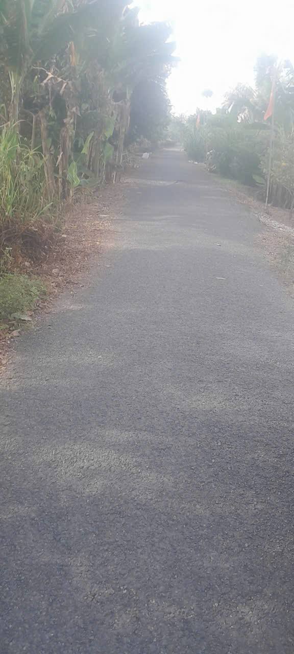 Bán Đất Vườn 2500m² Đồng Tháp - Sổ Thổ Cư, Mặt Tiền Nhựa