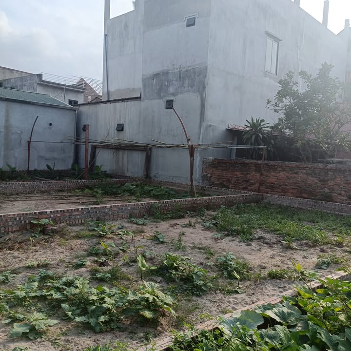 Đất nền Trà Lâm, Bắc Ninh 50m² - Sổ đỏ, ô tô vào đất, hơn 1 tỷ